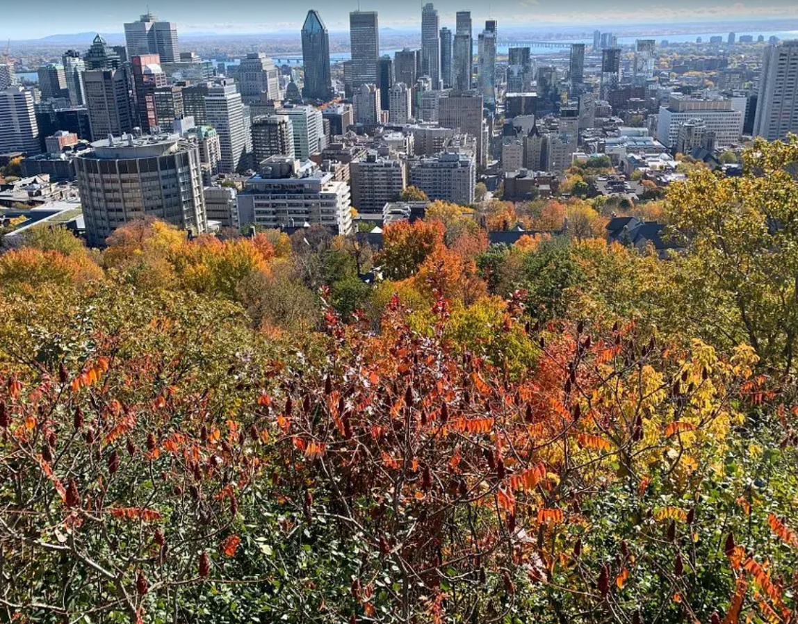 Mount Royal Park