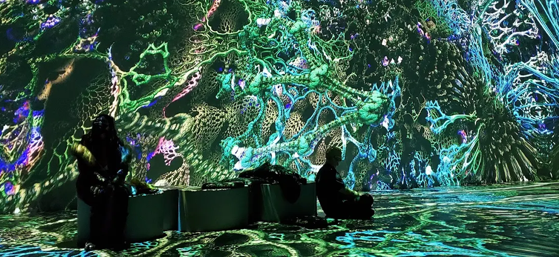 Oasis Immersive Experience